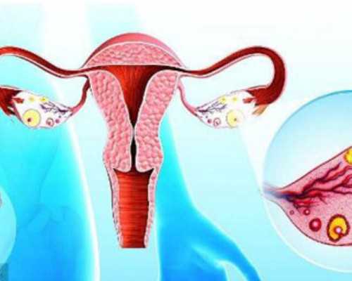 国内供卵官网地址,2026吉林三代试管婴儿医院大全